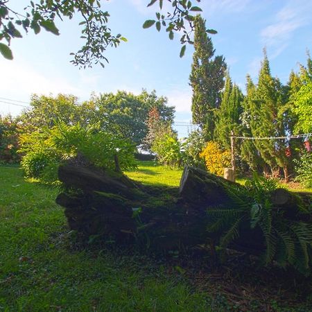 La Casa Del Bosco Villa Suances Ngoại thất bức ảnh